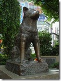 Hachiko Statue Shibuya Hachiko Statue Shibuya