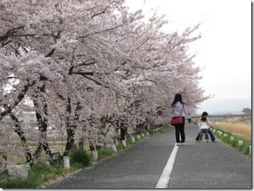 IMG_3127 IMG_3127