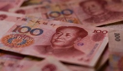 yuan yuan
