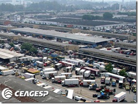 CEAGESP-SP CEAGESP-SP