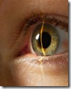 biometria-iris biometria-iris