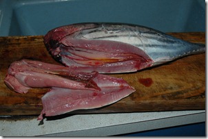 katsuo05 katsuo05