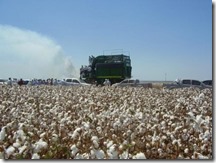dia-de-campo-na-fazenda-nova-fronteira-pioneira-na-producao-de-algodao-no-cerrado-piauiense-77121 dia-de-campo-na-fazenda-nova-fronteira-pioneira-na-producao-de-algodao-no-cerrado-piauiense-77121
