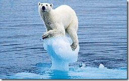 Climate-Change-Polar-Bear Climate-Change-Polar-Bear